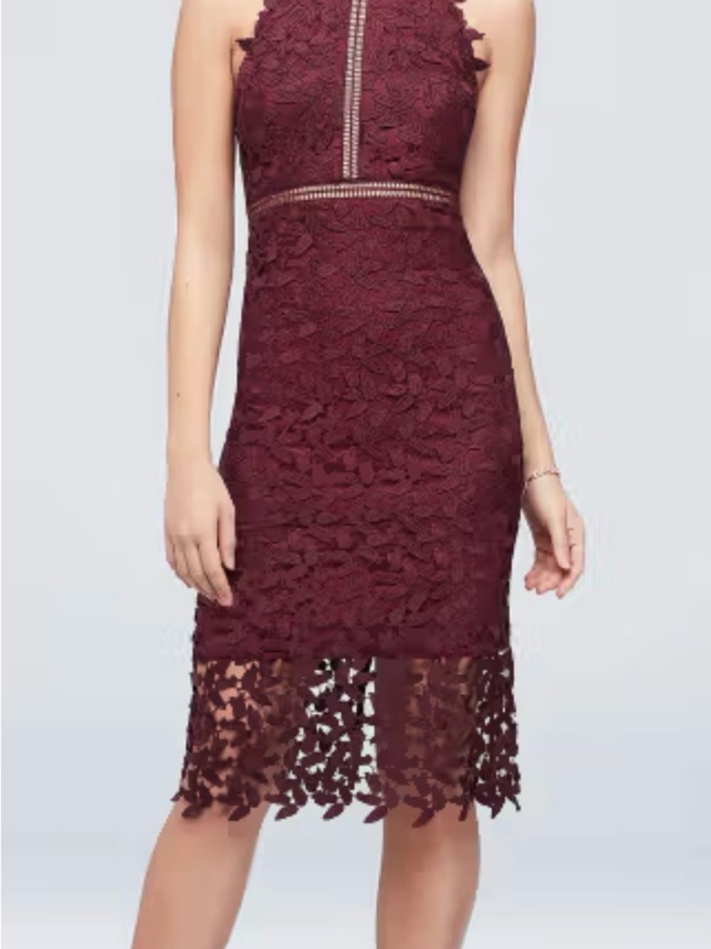 NWT BARDOT Short Lace High-Neck Dress with Illusion Details SM